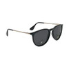 Glassy Sierra Polarized Sunglasses Black Gold Blue OneSize