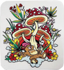 DGK WONDERLAND STICKER SINGLE