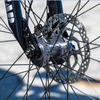 SE Fast Ripper Bike Ball Burnished Silver 29
