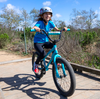 SE Basher Bike Sky Blue 20