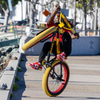 SE Fat Ripper Bike Bombus Black 26