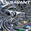 Paris Savant Trucks Set Silver 165/50