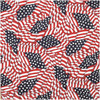 CAROLINA MANUF TOSSED AMERICAN FLAG