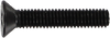 STANDARD PHILLIPS BOLT 1" BLACK