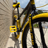 SE So Cal Flyer DEMO Bike Black BumbleBee 24