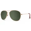 Abaco Avery Polarized Gold G15