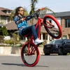 SE So Cal Flyer Matte Grey Pink 24