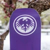 Never Summer Proto Type 3 Womens Snowboard 2627 Black Purple 145