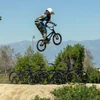 SE PK Ripper Super Elite XL Black 20