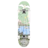 PUSH JON HORNER GUEST ARTIST SKATEBOARD COMPLETE-8.25 MULTI