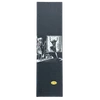 PVBLIC DOMAIN GRIP TAPE 9x33 SURPRISE