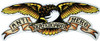 ANTI HERO EAGLE HUGE Decal Sticker single