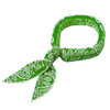 N-Rit Cool-X Polar Ice Bandana Green Print 1