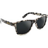 Glassy Leonard Sunglasses Smoke