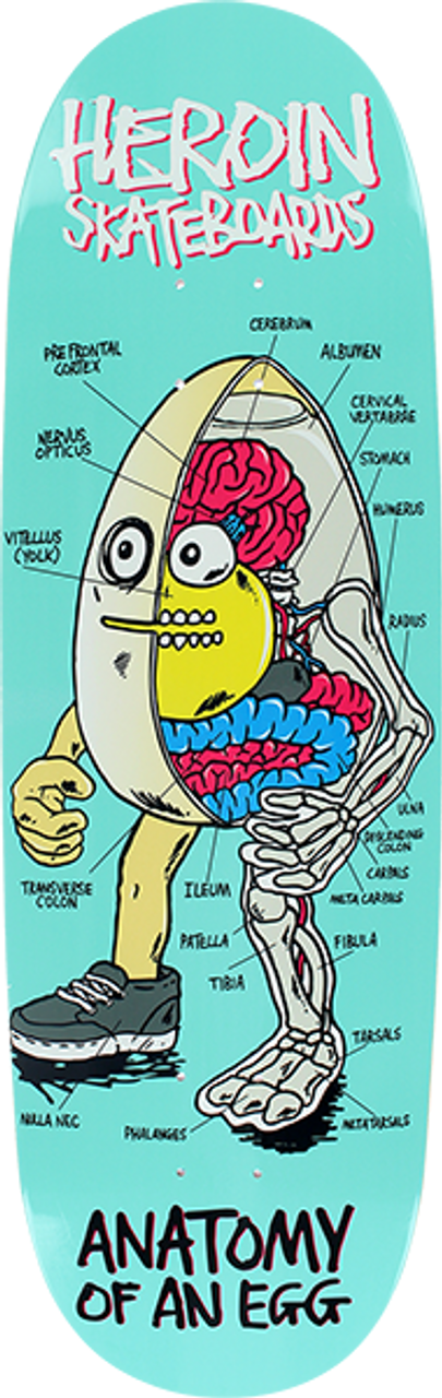 HEROIN ANATOMY OF AN EGG SKATE DECK-9.4 w/MOB Grip