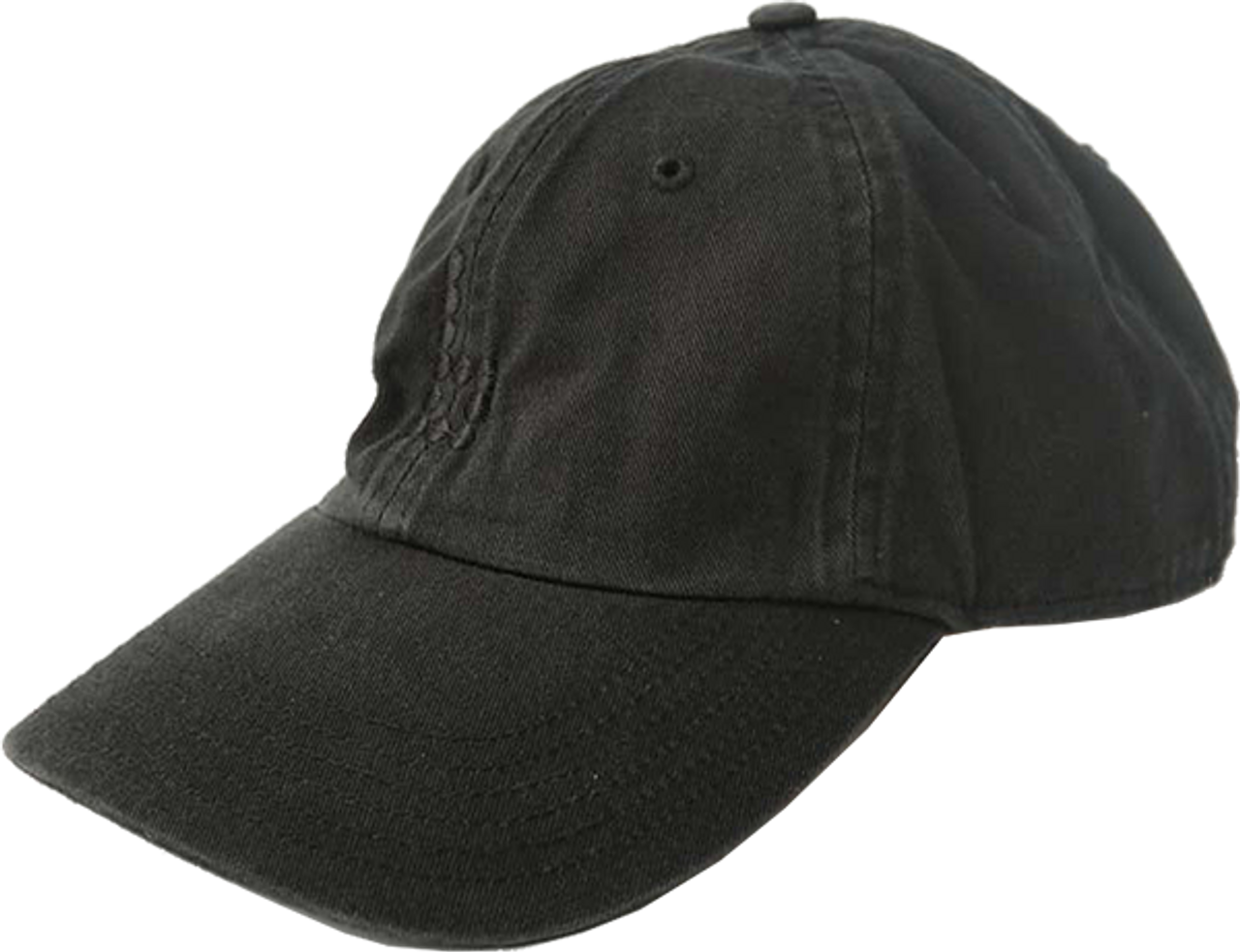 BRAILLE DAD SKATE HAT ADJ-BLACK