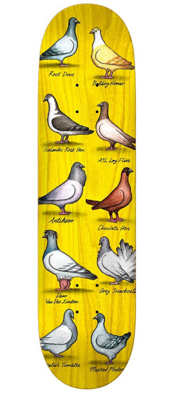 AH Daan Show Pigeons Skate Deck Assorted Stain 8.38