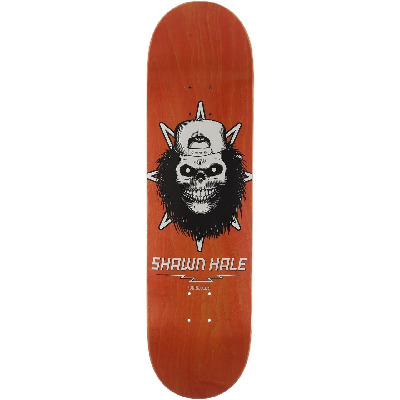 Birdhouse Hale Skull Skate Deck Assorted Stain 8.63