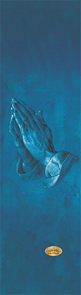 PVBLIC DOMAIN GRIP 9x33 FORGIVE