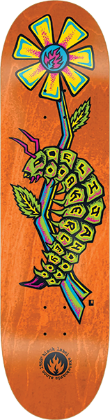 BLACK LABEL AKERLEY CATEPILLAR SKATEBOARD DECK 8.75