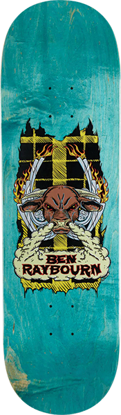 METAL RAYBOURN TOXIC DITCH SKATEBOARD DECK-9.0