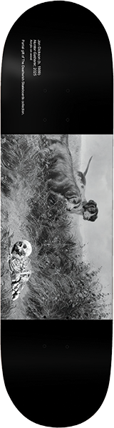 DEATHWISH DICKSON MUSEUM SKATEBOARD DECK-8.5