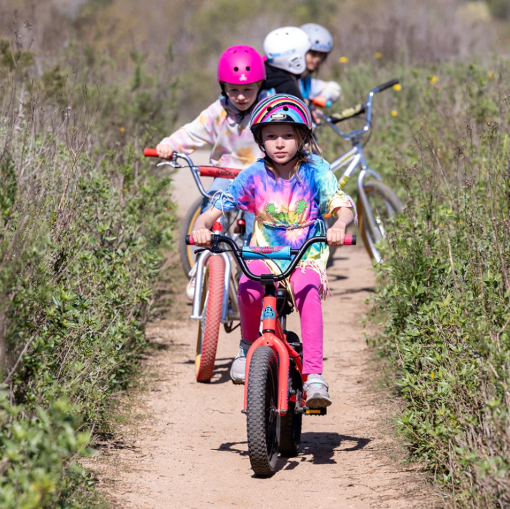 SE Basher Bike Silver Streak 16