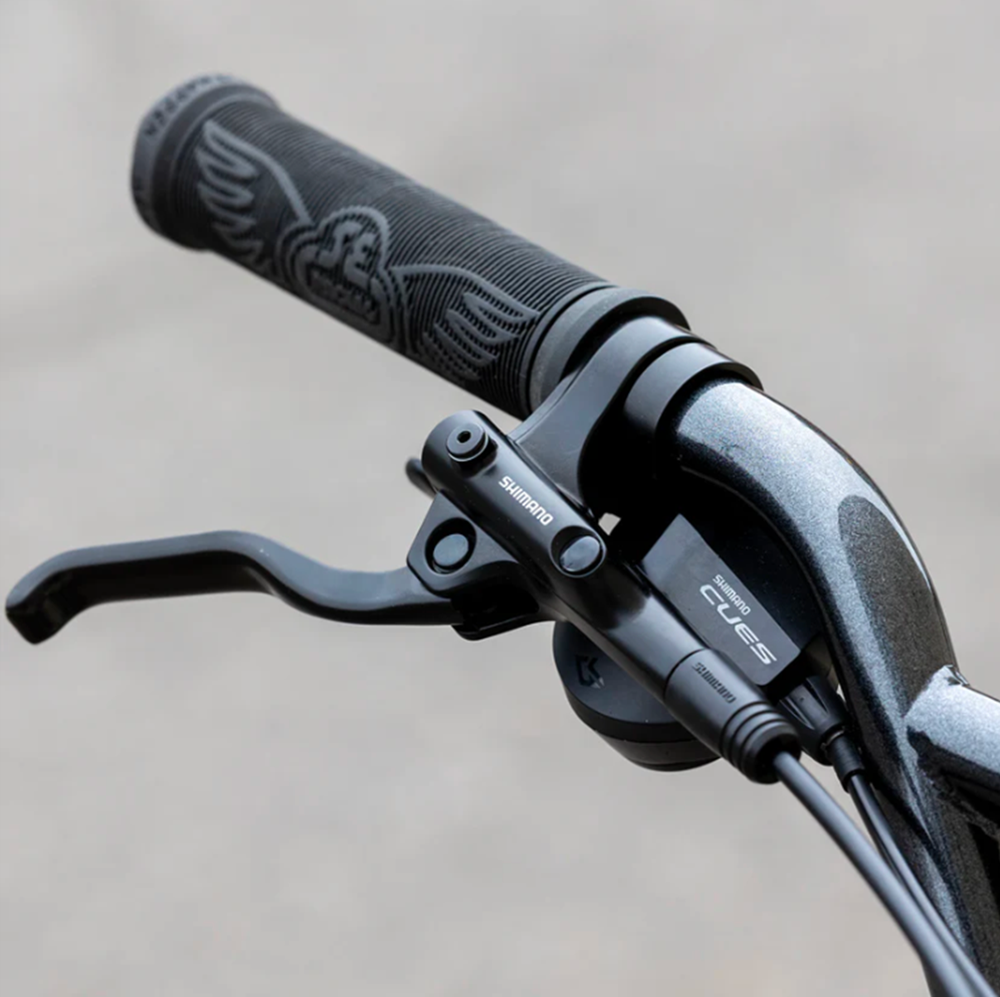 SE Fast Ripper Bike Ball Burnished Silver 29
