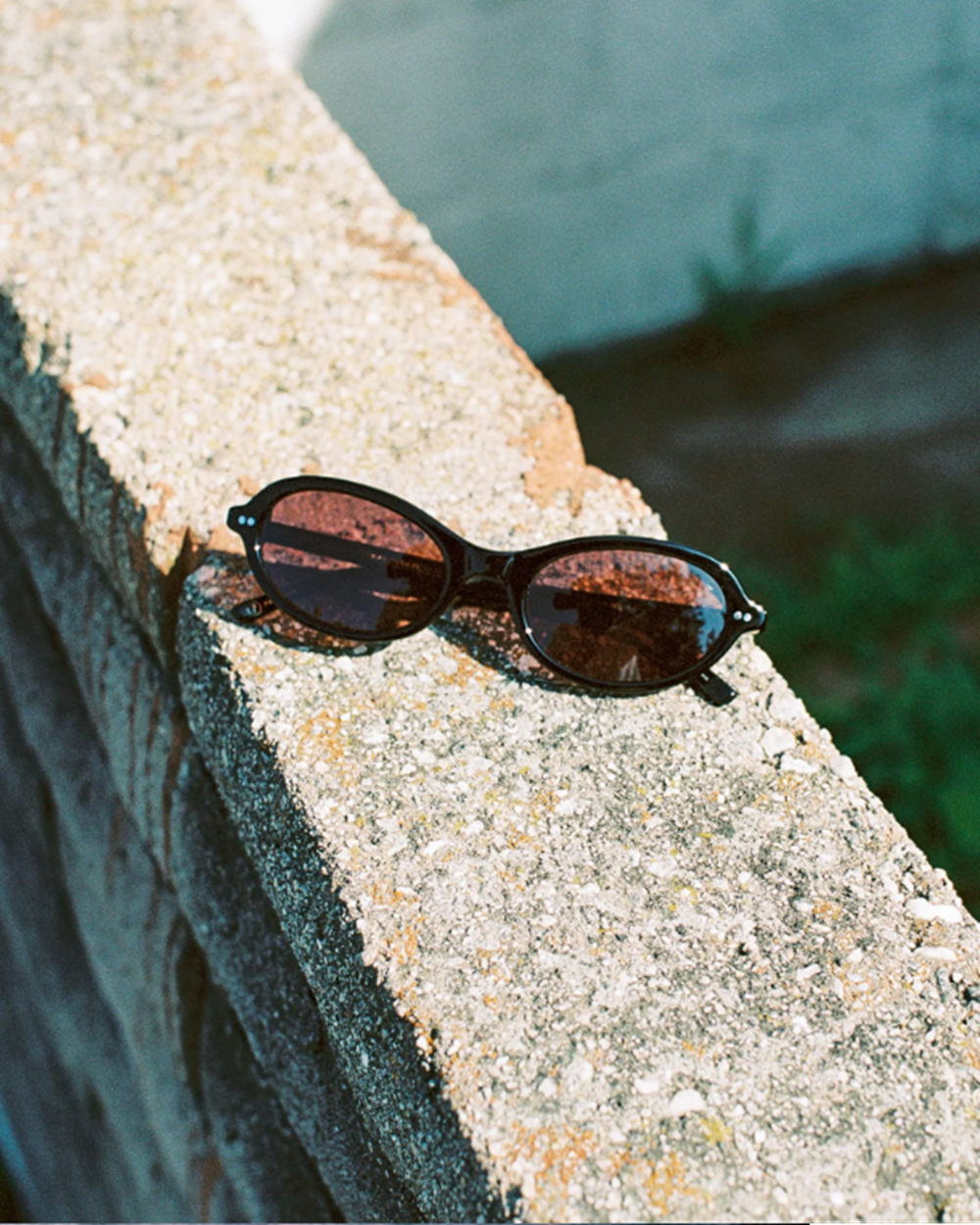 Crap Marquee Rox Sunglasses Black Sangria