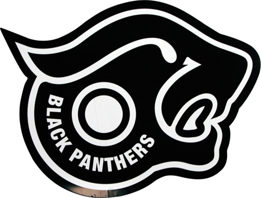 SHORTYS BLACK PANTHERS STICKER single