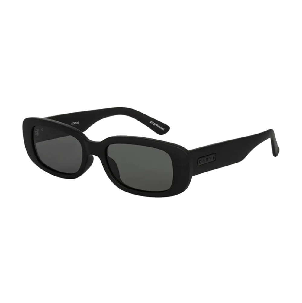 Carve Status Sunglasses Matte Black Grey Polarized