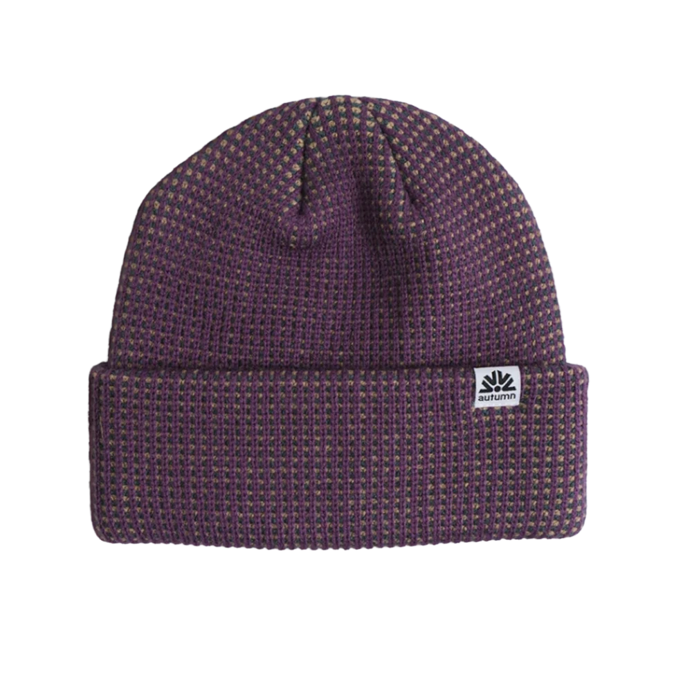 Autumn Static Beanie Plum
