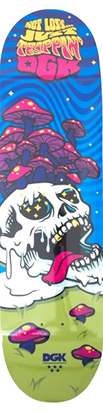 DGK NOT LOST SKATEBOARD DECK-8.5