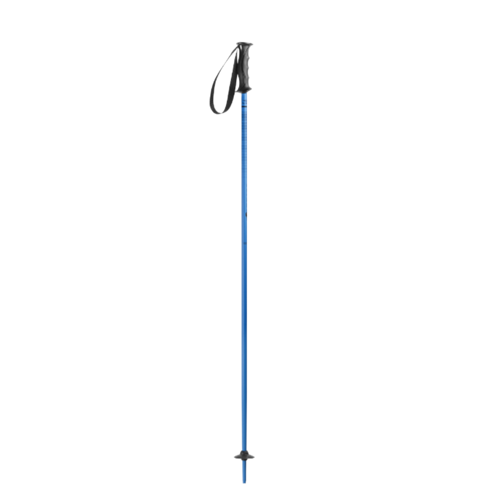 Nordica Junior Ski Poles Blue 100