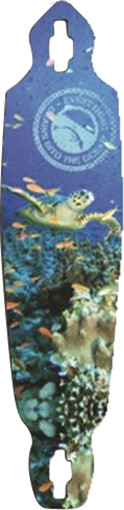 SANTA CRUZ EVERYTHING DRAINS SEA TURTLE Longboard Deck-9.75x39.75