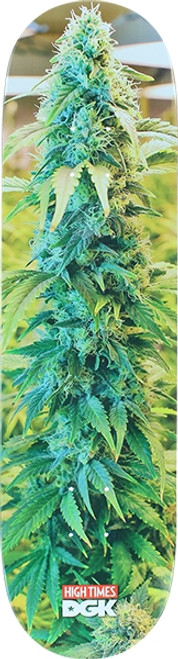DGK HIGH TIMES CONE SKATEBOARD DECK-8.06