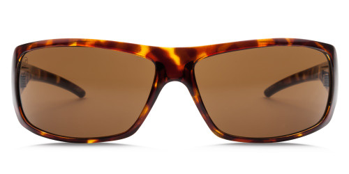 Electric Charge Sunglasses Tort Bronze Onesize