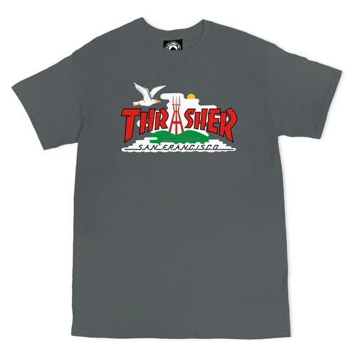 Thrasher The City SS Tshirt Grey