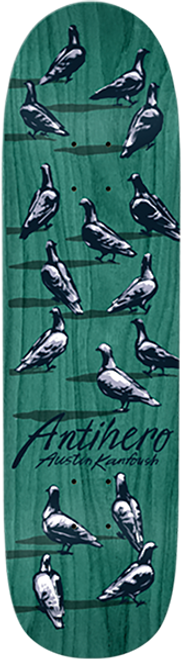 ANTI HERO KANFOUSH DAWN OF THE PIGEON SKATEBOARD DECK 8.55