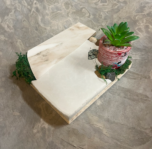 223 Fingerboard Spot Park Grandmas Patio Plant 8x8 223 Fingerboard Spot Park Grandmas Patio Plant 8x8