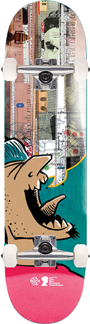 PUSH ANDY JENKINS SKATEBOARD COMPLETE-8.25 TEAL