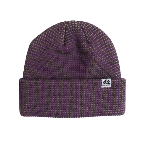 Autumn Static Beanie Plum