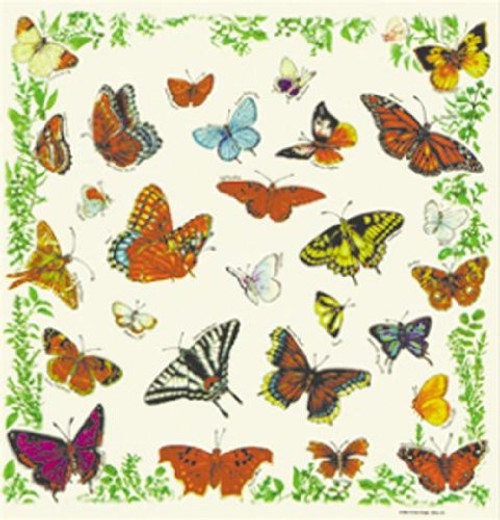 Printed Image Butterflies Bandana White 22inx22in