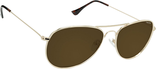 Nectar Sunglasses Kitty Hawk Gold Metal/Amber 