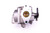 Tohatsu 4HP MFS4 (1998 and Newer) 4-Stroke Outboard Carburetor