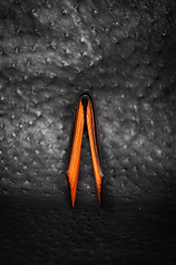 Geniune Shark Skin Wallet Geniune Shark Skin Wallet