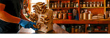 When & How to Harvest Your Mushrooms