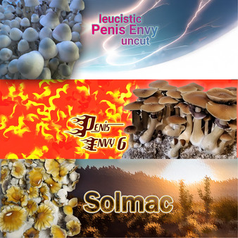 Penis Envy  spores at Fungi Myco