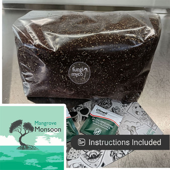 Mangrove Monsoon Substrate at Fungi Myco