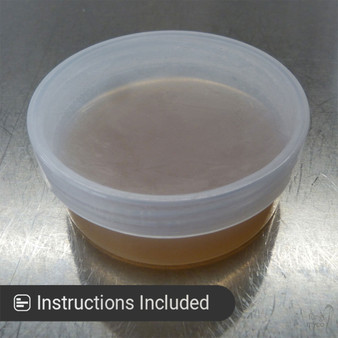 Agar Plates at Fungi Myco